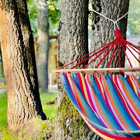 Pop аrt 普里莫尔斯科