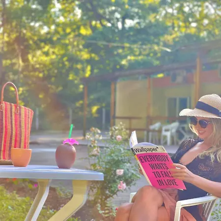 Pop аrt 普里莫尔斯科