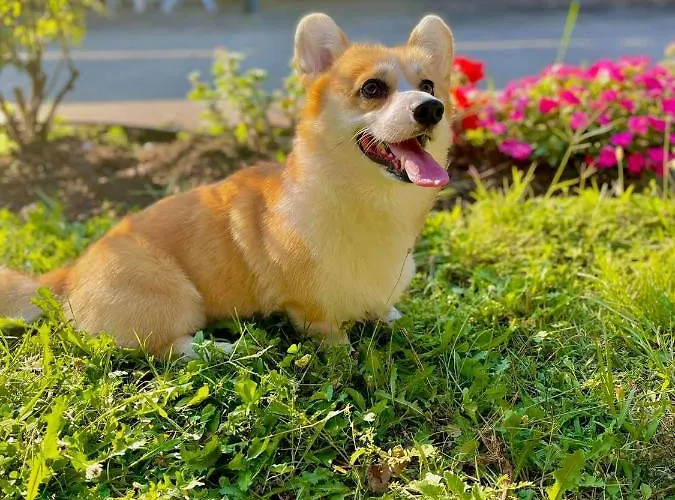 Pop аrt Приморско