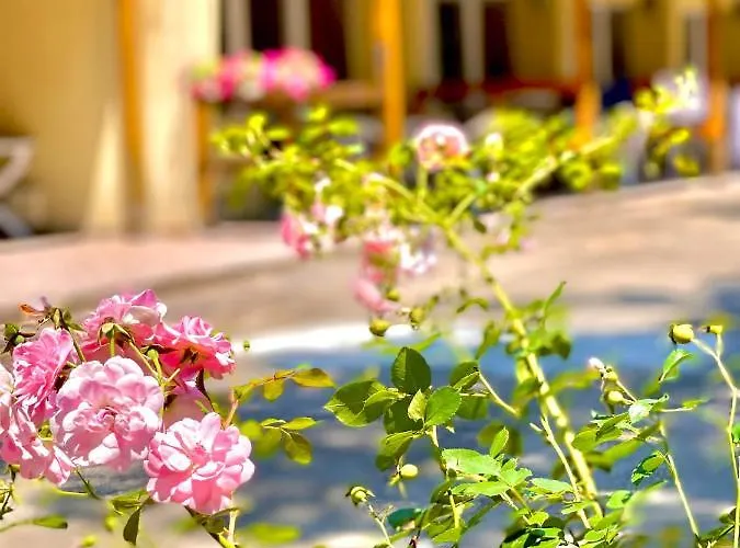 Pop аrt Приморско